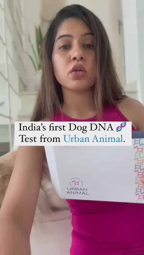Urban Animal DNA Test Kit for Genetic Disease Mapping for Dogs