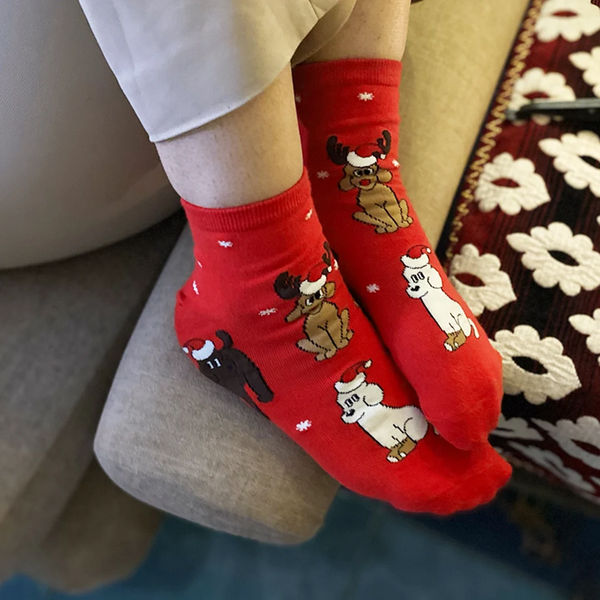 thePack Dog Themed Ankle Length Socks (Red)