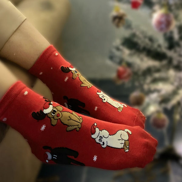 thePack Dog Themed Ankle Length Socks (Red)