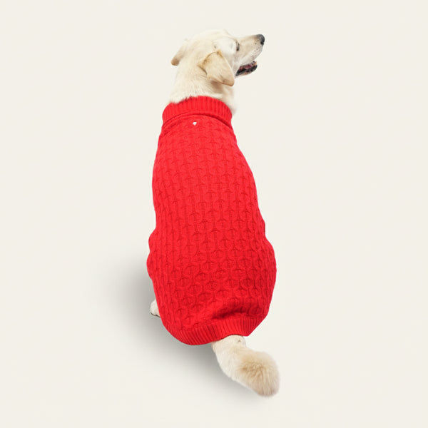 Skatrs Red Sweater For Dogs and Cats