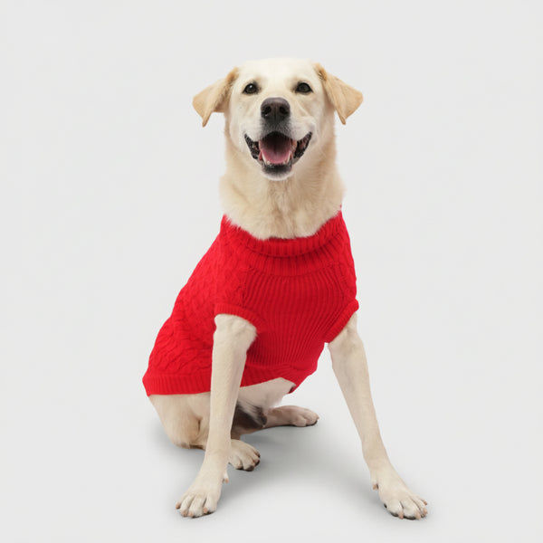 Skatrs Red Sweater For Dogs and Cats