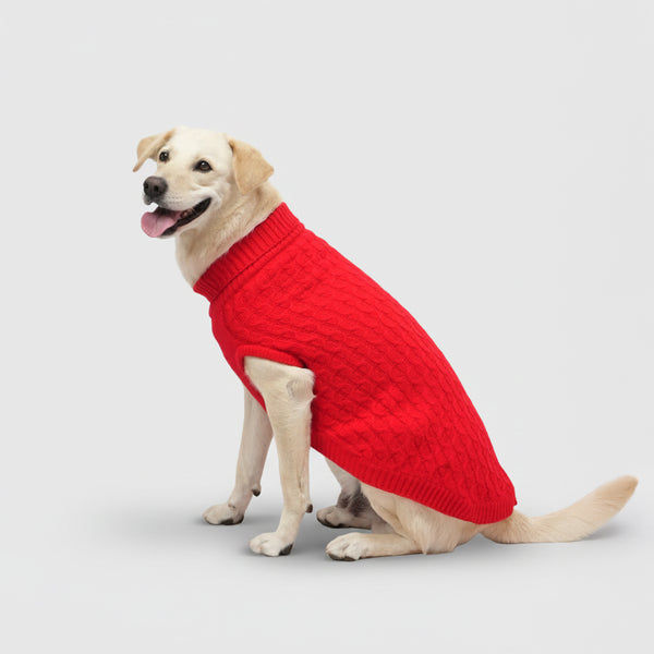 Skatrs Red Sweater For Dogs and Cats