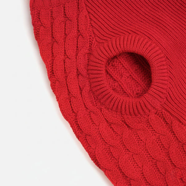 Skatrs Red Sweater For Dogs and Cats