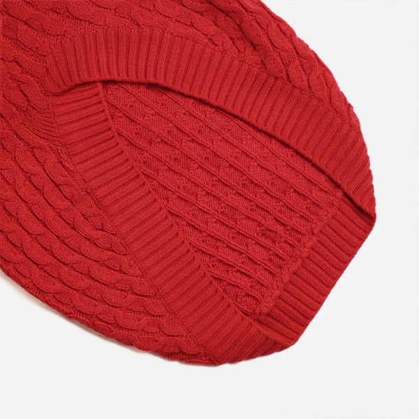 Skatrs Red Sweater For Dogs and Cats