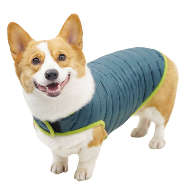 Talking Dog Club Double Trouble Reversible Jackets for Dogs (Blue/Green)