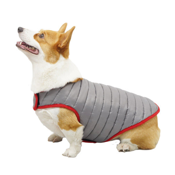 Talking Dog Club Double Trouble Reversible Jackets for Dogs (Red/Sliver)