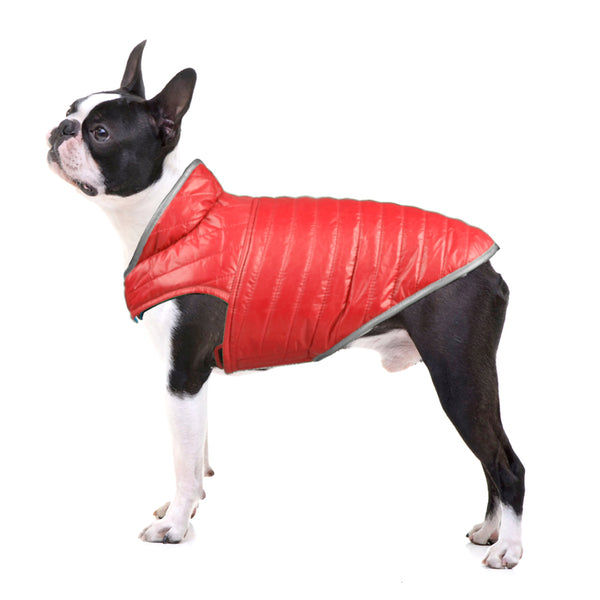 Talking Dog Club Double Trouble Reversible Jackets for Dogs (Red/Sliver)