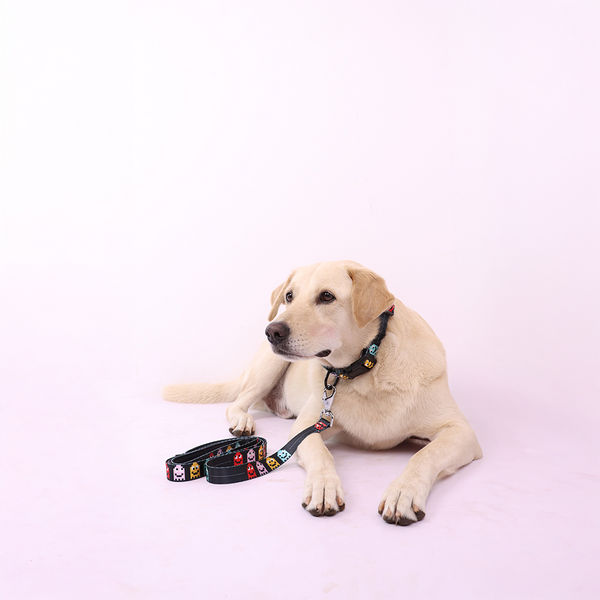 Skatrs Arcade Mood Collar for Dogs & Cats