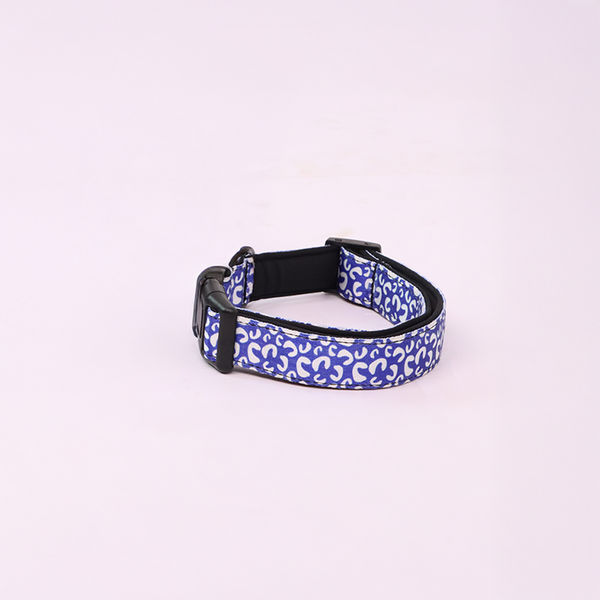 Skatrs Enigma Collar for Dogs