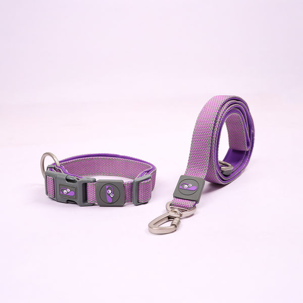 Skatrs Leash for Dogs (Purple)