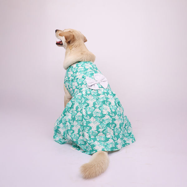 Skatrs Floral Grace Dress for Dogs and Cats (Blue)