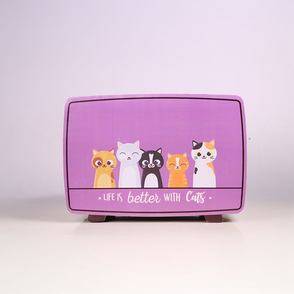 Skatrs TV Scratcher Toy for Cats