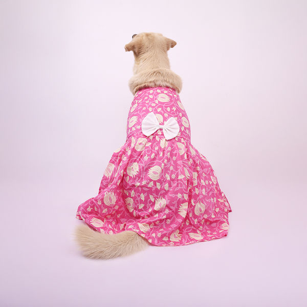 Skatrs Petal Charm Dress for Dogs and Cats