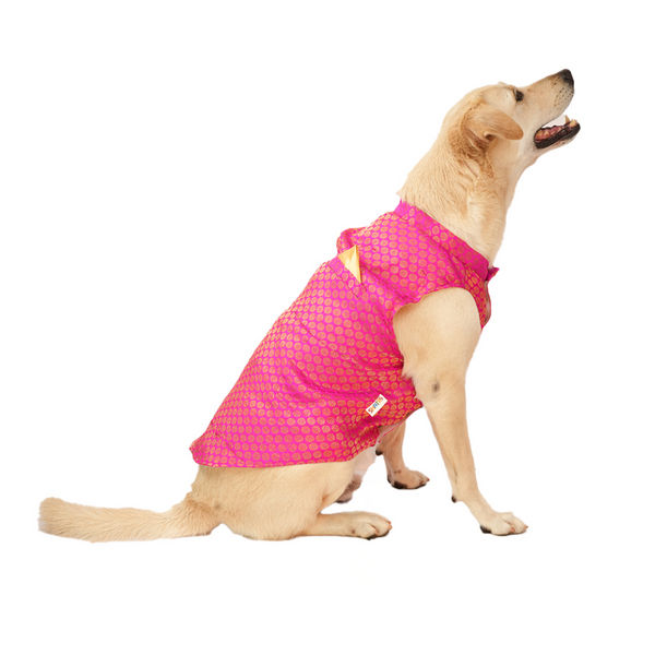 Skatrs Brocade Gold Printed Sherwani for Dogs and Cats (Pink)