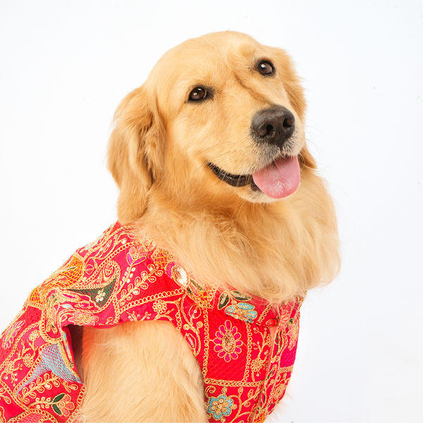 Skatrs Royale Sherwani for cats and dogs (Pink)