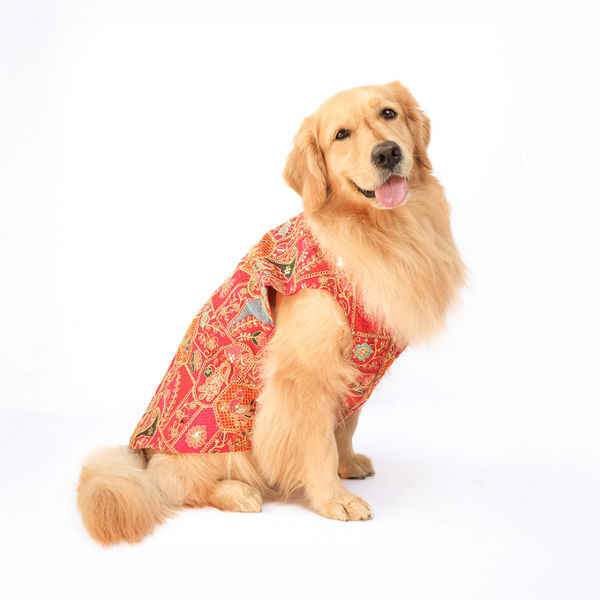 Skatrs Royale Sherwani for cats and dogs (Pink)