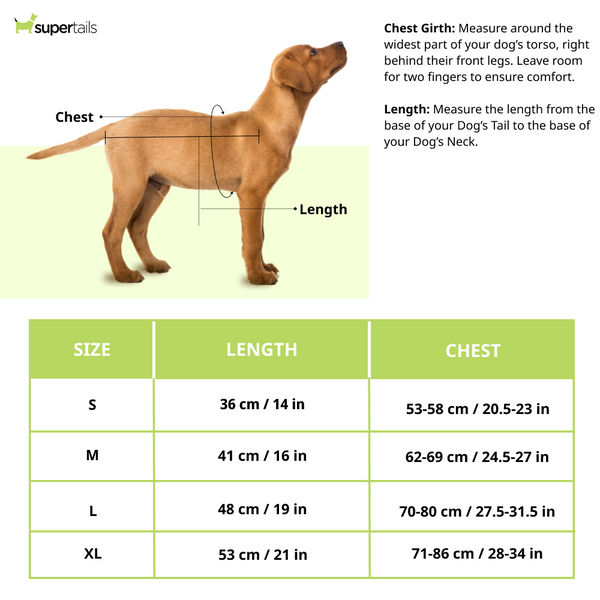 Talking Dog Club Double Trouble Reversible Jackets for Dogs (Red/Blue)