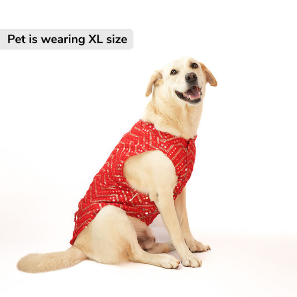 Skatrs Festive Mirror Sherwani for Cats and Dogs (Red)