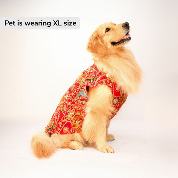 Skatrs Royale Sherwani for cats and dogs (Pink)