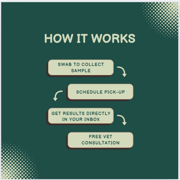 Urban Animal DNA Test for Mating Check Track Test Kit for Dogs