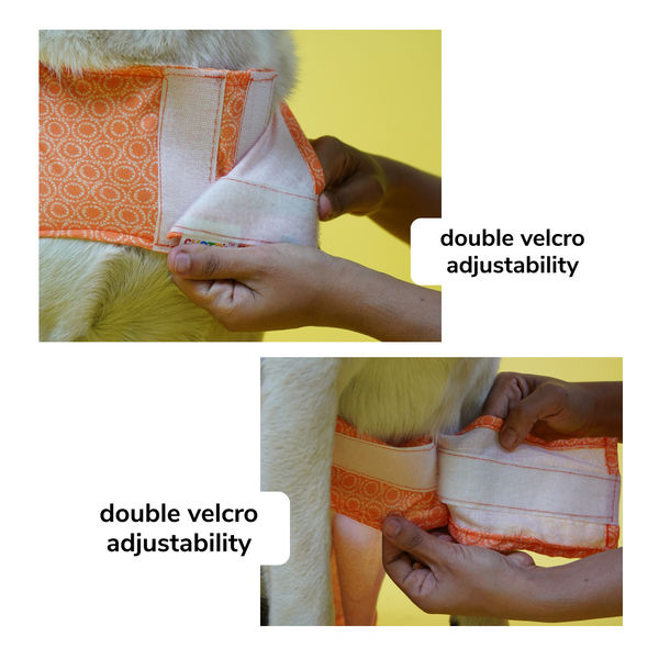 Skatrs Marigold Mandala Printed Dress for Dogs and Cats (Orange)