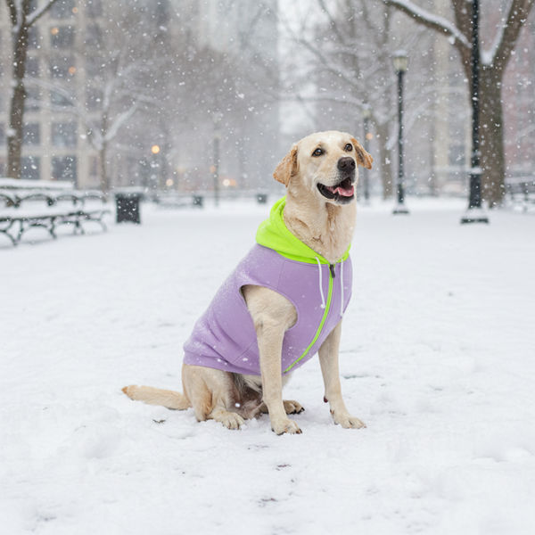 Skatrs Lilac Pop In-Style Hoodie For Dogs and Cats(Lilac & Neon Green)