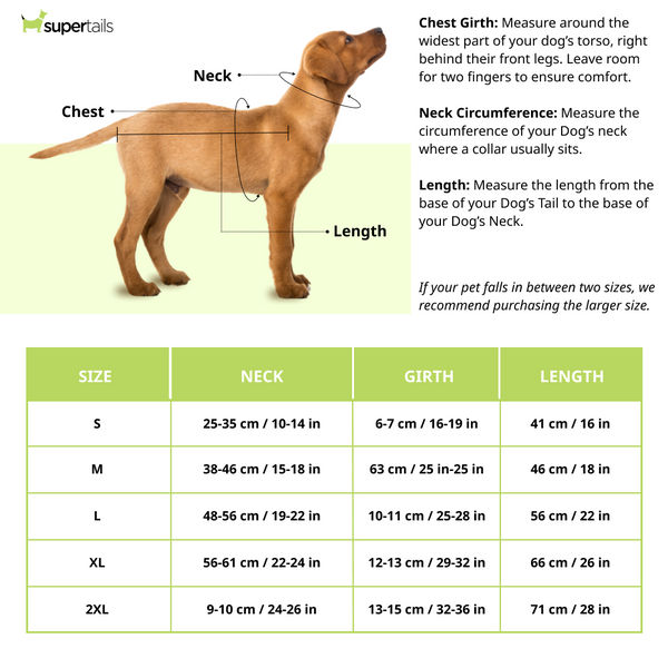 Zoomiez Ultimate Jacket With Built in Harness for Dogs (Black/Neon)