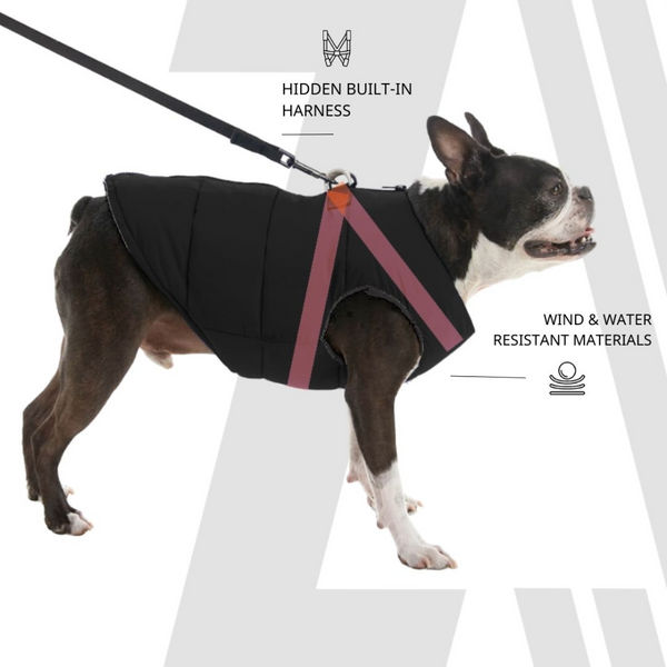 Zoomiez Ultimate Jacket With Built in Harness for Dogs (Black/Neon)