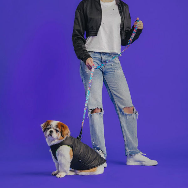 Zoomiez Ultimate Jacket With Built in Harness for Dogs (Black/Neon)