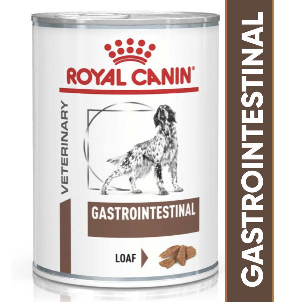 Canin gastrointestinal canine cheap
