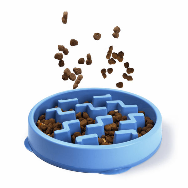 Outward Hound Fun/Slow Feeder for Dogs (Blue)