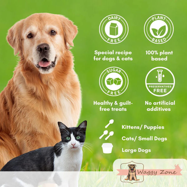 Waggy Zone Mango Ice Cream for Pets