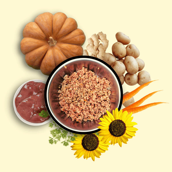 Doggos Jumbo Monster Chicken and Pumpkin Fresh Dog Wet Food (All Breeds)