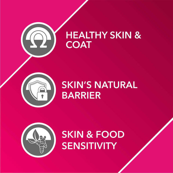 Drools Absolute Skin & Coat Syrup Supplement for Dogs