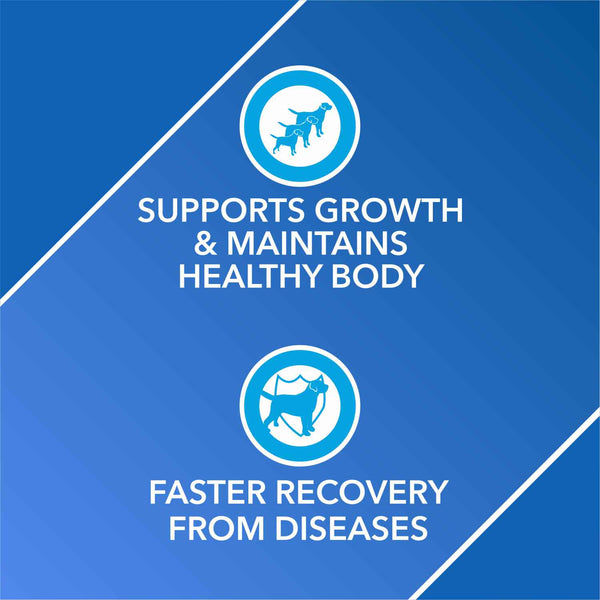 Drools Absolute Vitamin Supplement Tablets for Dogs