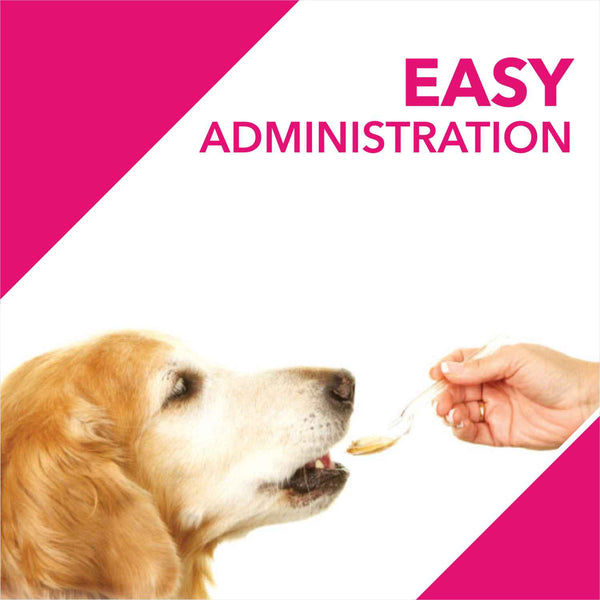 Drools Absolute Skin & Coat Syrup Supplement for Dogs