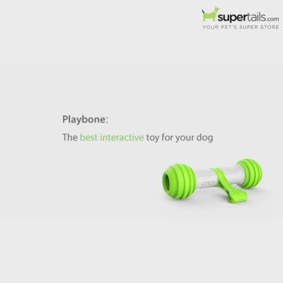 Pet Geek Playbone Toy for Dogs (White/Green)