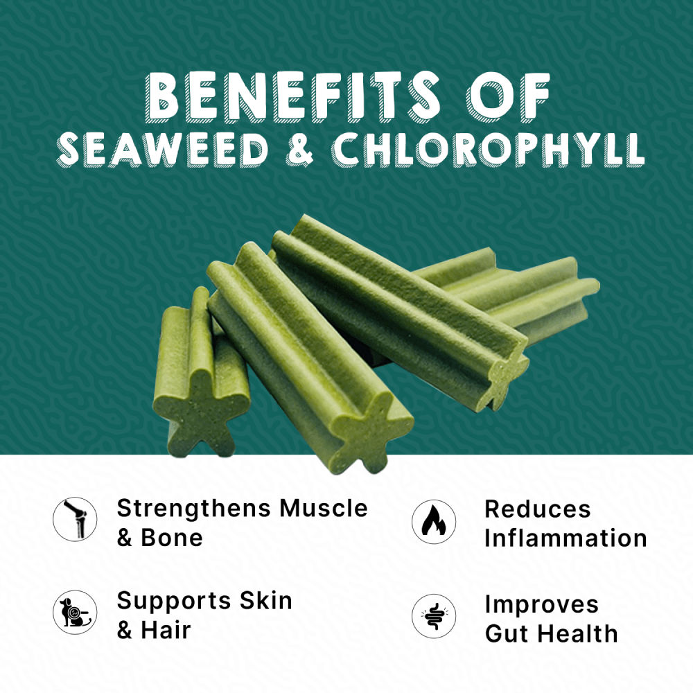 Goofy Tails Seaweed Active Dental Twists Dog Treats