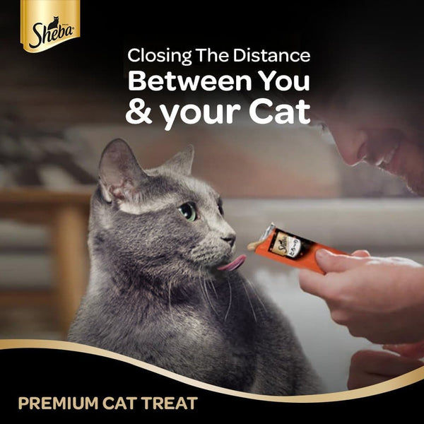 Sheba Tuna Flavor and Tuna & Prawn Maguro Selection Melty Premium Treat and Skipjack & Salmon Fish Mix Cat Wet Food Combo