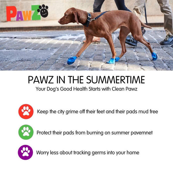 Protex PawZ Disposable and Reusable Boots for Dogs (Camo)