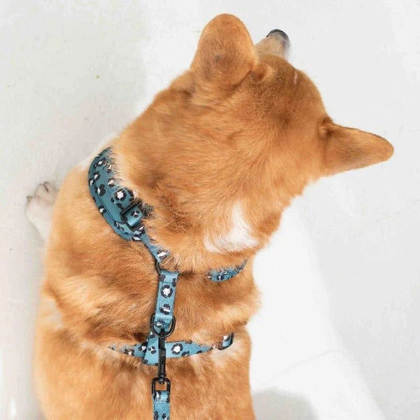 Furry & Co Wild One No Pull Harness for Dogs