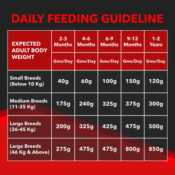 Drools Focus Super Premium Puppy Dog Dry Food | Corn & Wheat Free Formula