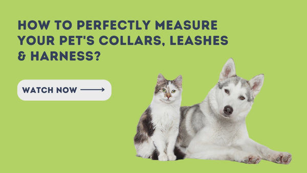 Truelove Floral No Pull Pet Harness for Dogs (Poppy Red)