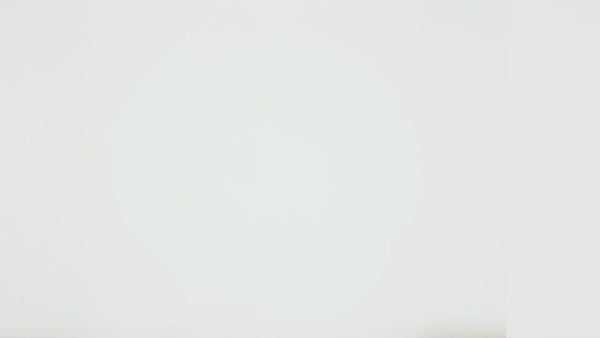 Outward Hound Fun/Slow Feeder for Dogs (Teal)