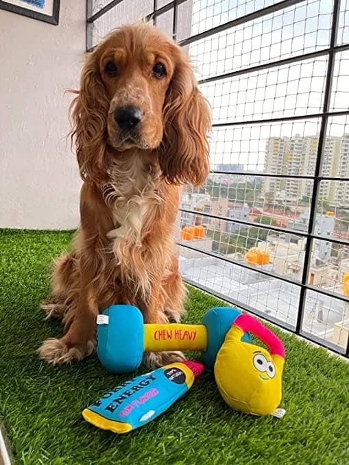 Goofy Tails Gym Series Kettlebell Plush Toy for Dogs | For Soft Chewers (Yellow)