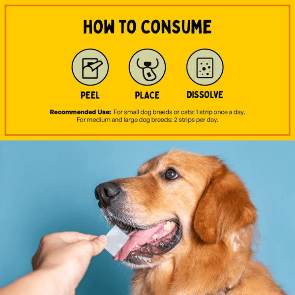 Furlicks Multivitamin for Cats and Dogs