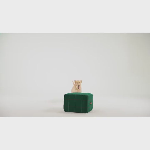 Tropiclean Fresh Breath Puppy Water Additive for Dogs