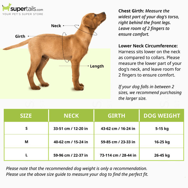 A Plus A Pets Skin Friendly Gradient Design Harness for Dogs and Cats (Green)