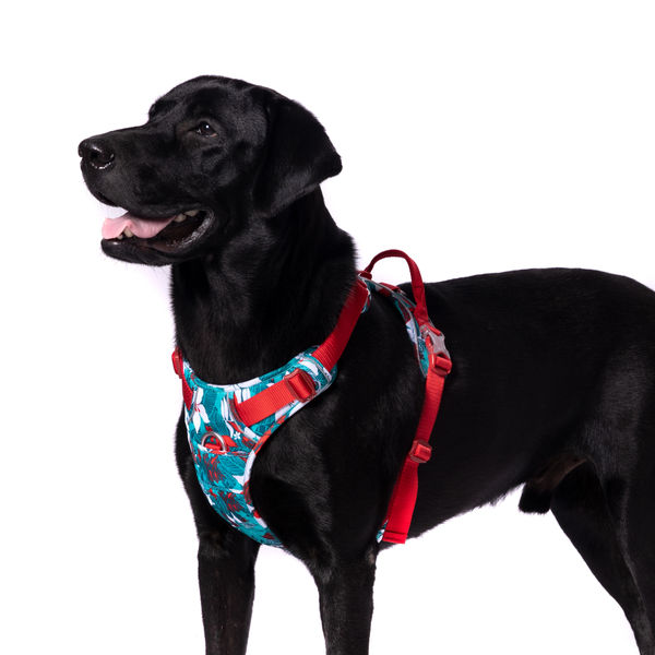 Truelove No Pull Special Edition with 3M Reflective Material Harness for Dogs (Camouflage blue)