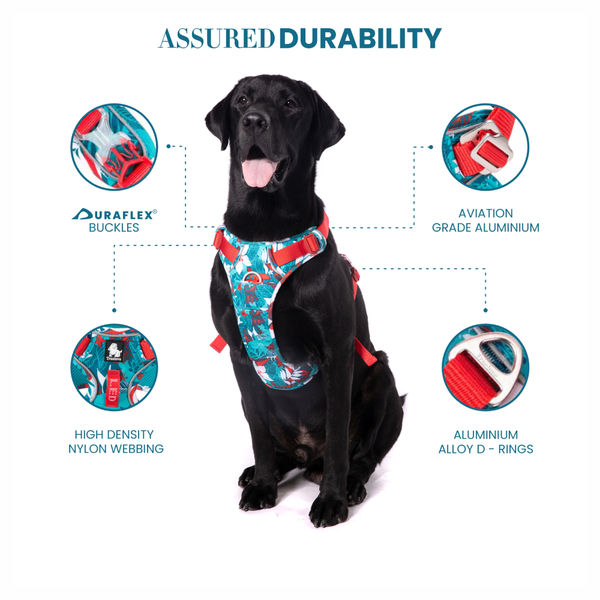 Truelove No Pull Special Edition with 3M Reflective Material Harness for Dogs (Camouflage blue)